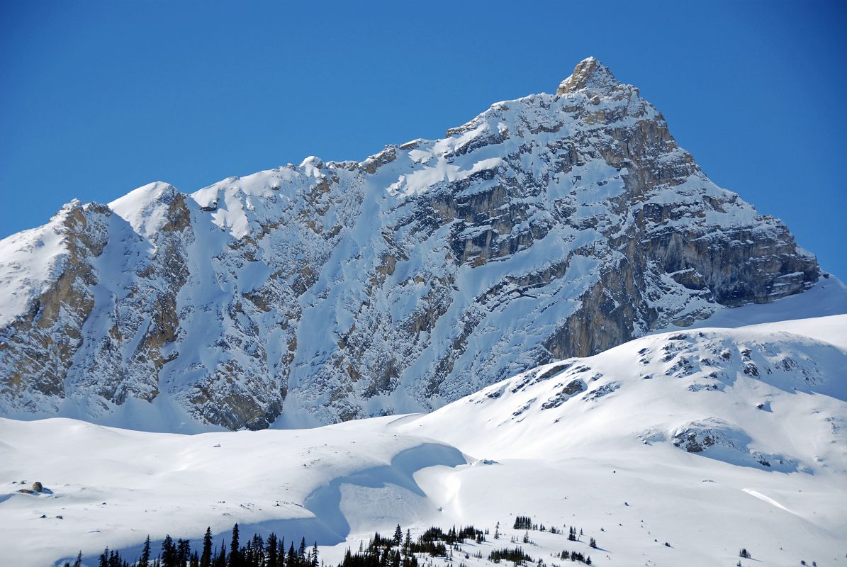 05 Hilda Peak From Just Before Columbia Icefields On Icefields Parkway